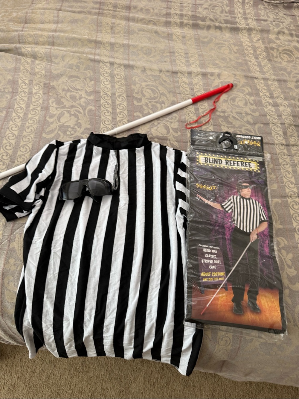 Blind Referee Adult Costume - Black & White Striped Shirt w/Dark Glasses & Cane